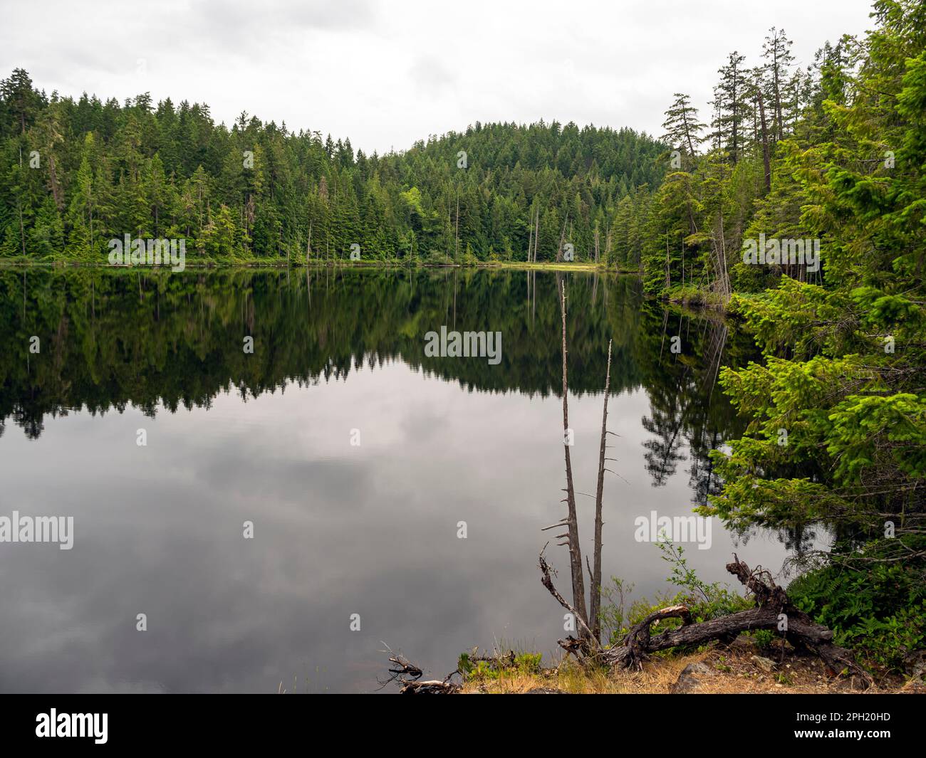 BC00666-00...BRITISH COLUMBIA - Reflexion im ruhigen Wasser des Wednesday Lake, der sich am Sunshine Coast Trail im Malaspina Provincial Park befindet. Stockfoto