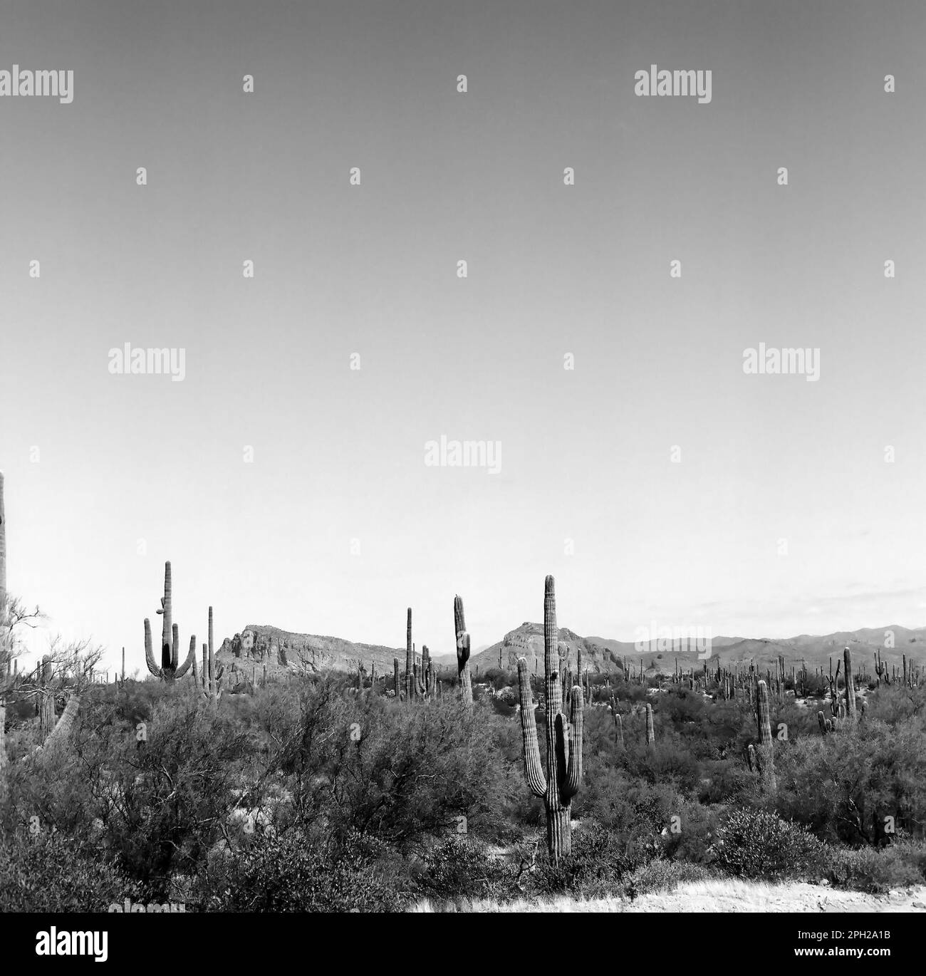 Berg in der Sonora Wüste im Zentrum von Arizona USA Stockfoto