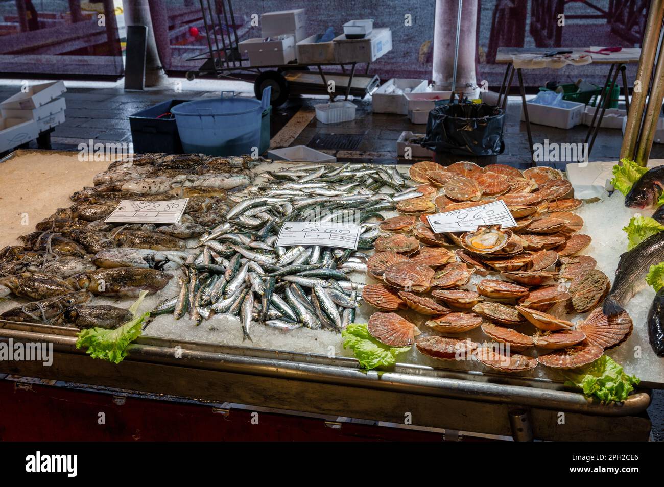 Venedig, Italien - 25. Februar 2023: Frischer Fisch auf dem Rialto Fischmarkt in Venedig, Italien. Stockfoto