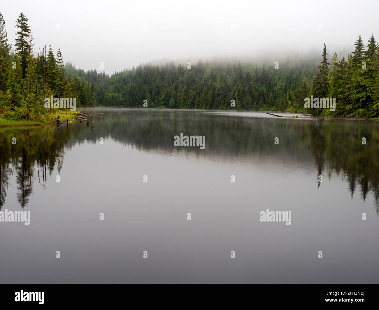 BC00717-00...BRITISH COLUMBIA - Elk Lake, ein beliebter Zwischenstopp am Sunshine Coast Trail. Stockfoto
