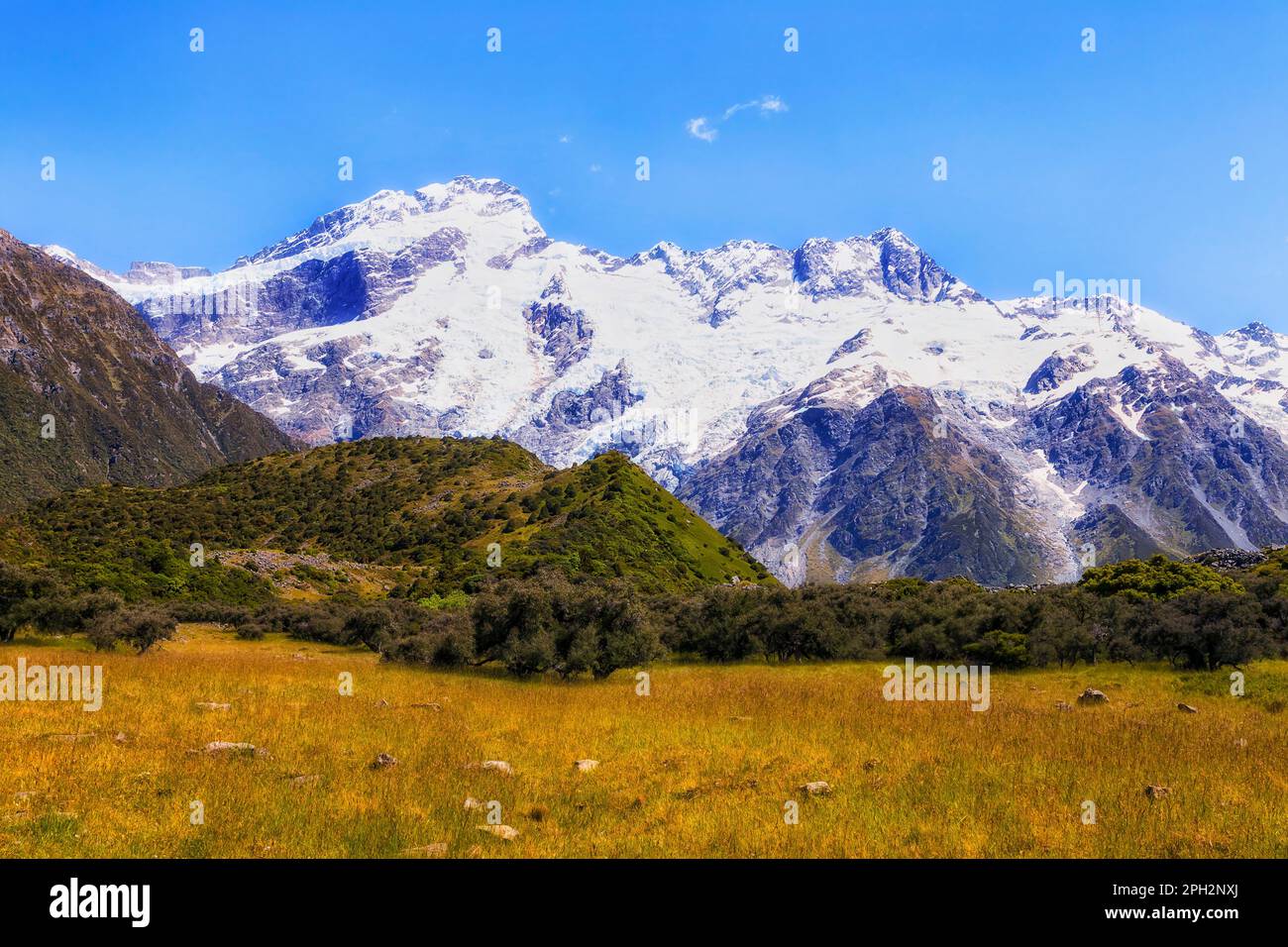 Graswiese vor den schneebedeckten Felsen im Mt Cook-Nationalpark von Neuseeland. Stockfoto