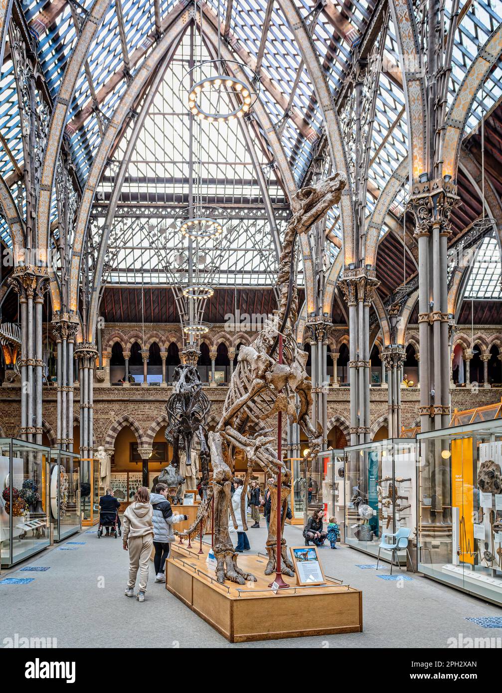 Dinosaurierskelette im Oxford University Museum of Natural History, Oxford, Oxfordshire, Großbritannien, am 25. März 2023 Stockfoto