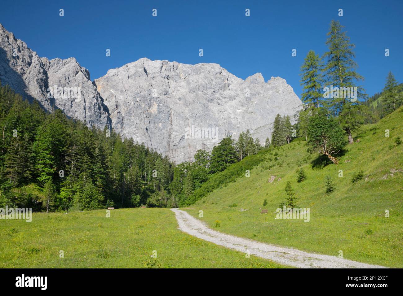 Die Nordwände des Karwendelgebirges - Mauern der Grubenkar spitze aus dem Tal. Stockfoto