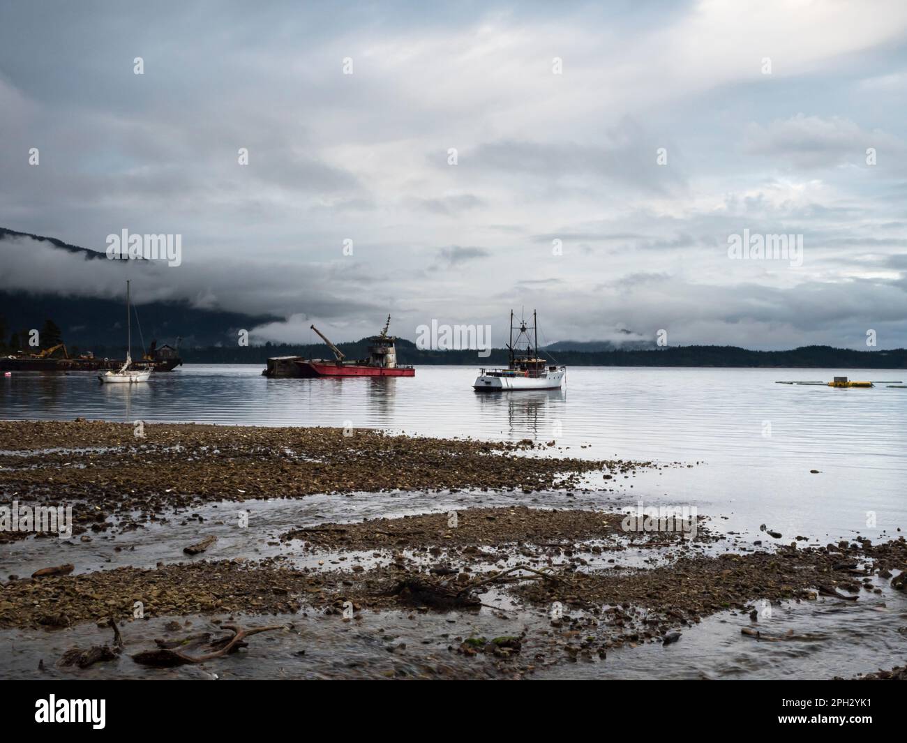 BC00737-00...BRITISH COLUMBIA - Morgenruhe in der Saltery Bay am südlichen Ende des Sunshine Coast Trail. Stockfoto