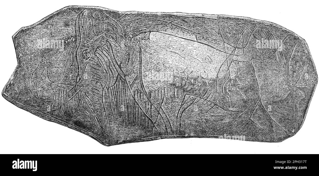 Wolliges Mammut in Elfenbein geschnitzt, entdeckt von Edouard Lartet im Jahr 1864. Stockfoto