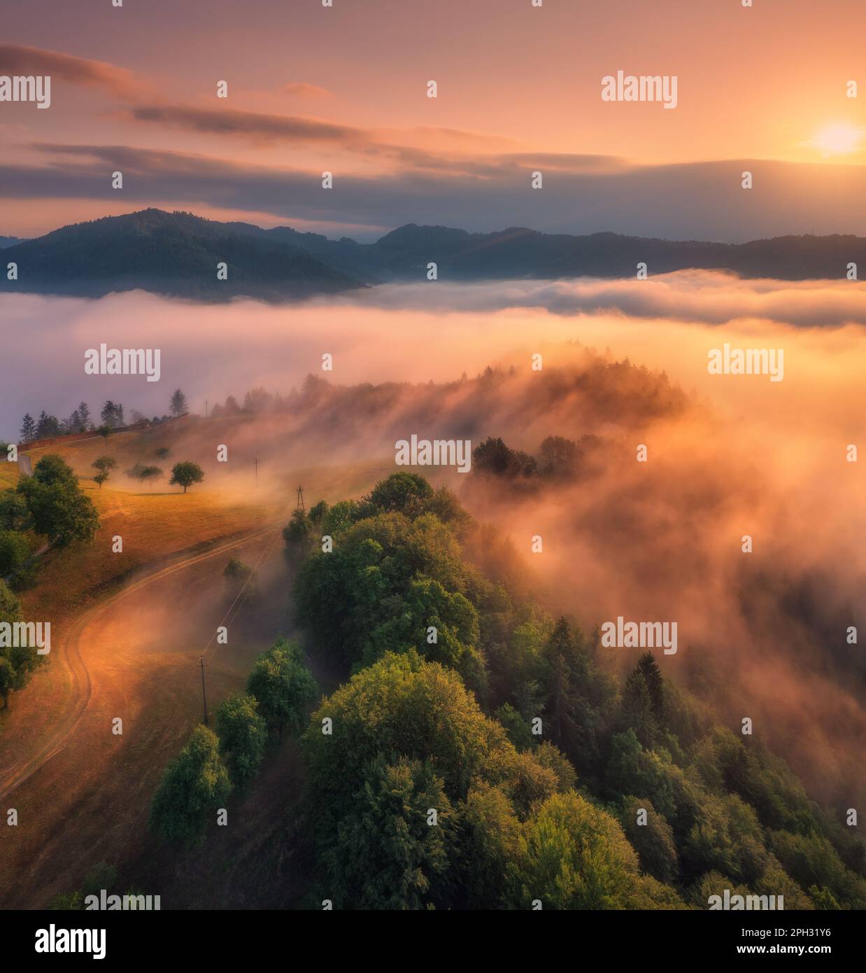 Blick aus der Vogelperspektive auf Wälder, alpine Wiesen und Berge in niedrigen Wolken Stockfoto
