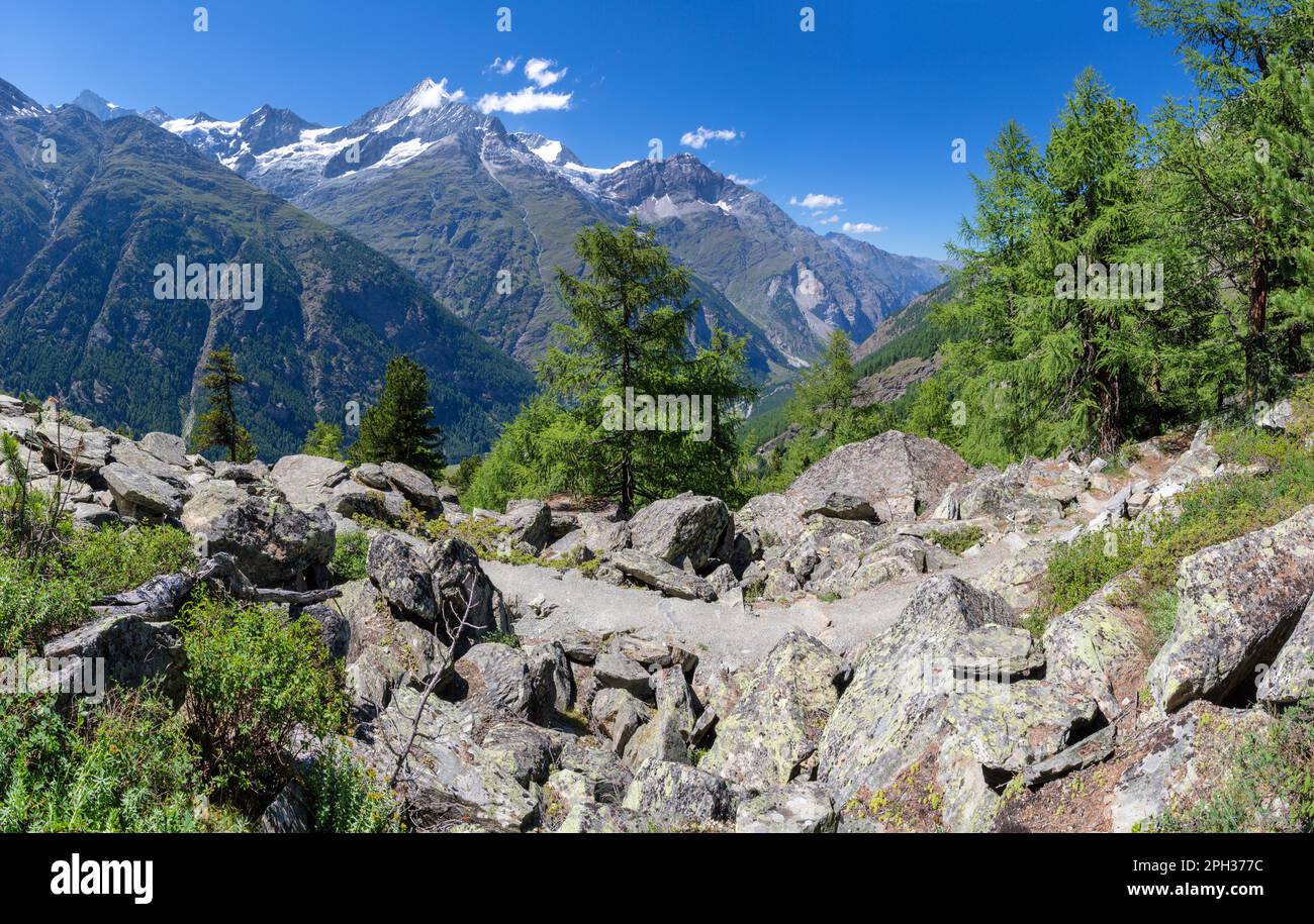 Die Walliser alpen - Bishorn, Weisshorn, Schalihorn und Rothorn über dem Mattertal Stockfoto