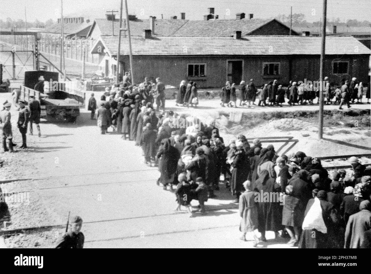 Jüdische Frauen und Kinder aus Ungarn gingen in Richtung Gaskammer, Auschwitz II, Mai/Juni 1944. Nach dem Auswahlprozess auf dem Bahnhofsplattform wurden die zum Sterben verurteilten Personen direkt zu den Gaskammern geführt. Stockfoto