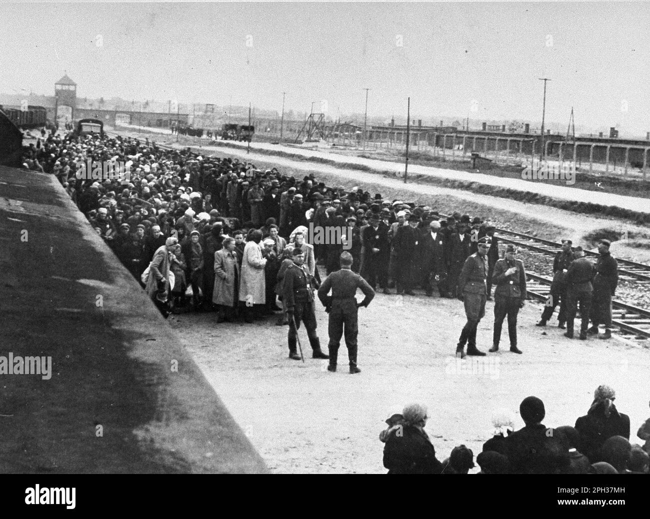 Juden aus dem Subkarpaten Rus, dann Teil von Ungarn, erwarten die Auswahl auf der Rampe in Auschwitz II-Birkenau. Selektion bestand darin, sofort in den Gaskammern zum Tode ausgewählt zu werden oder als Zwangssklavenarbeiter geschickt zu werden. Stockfoto