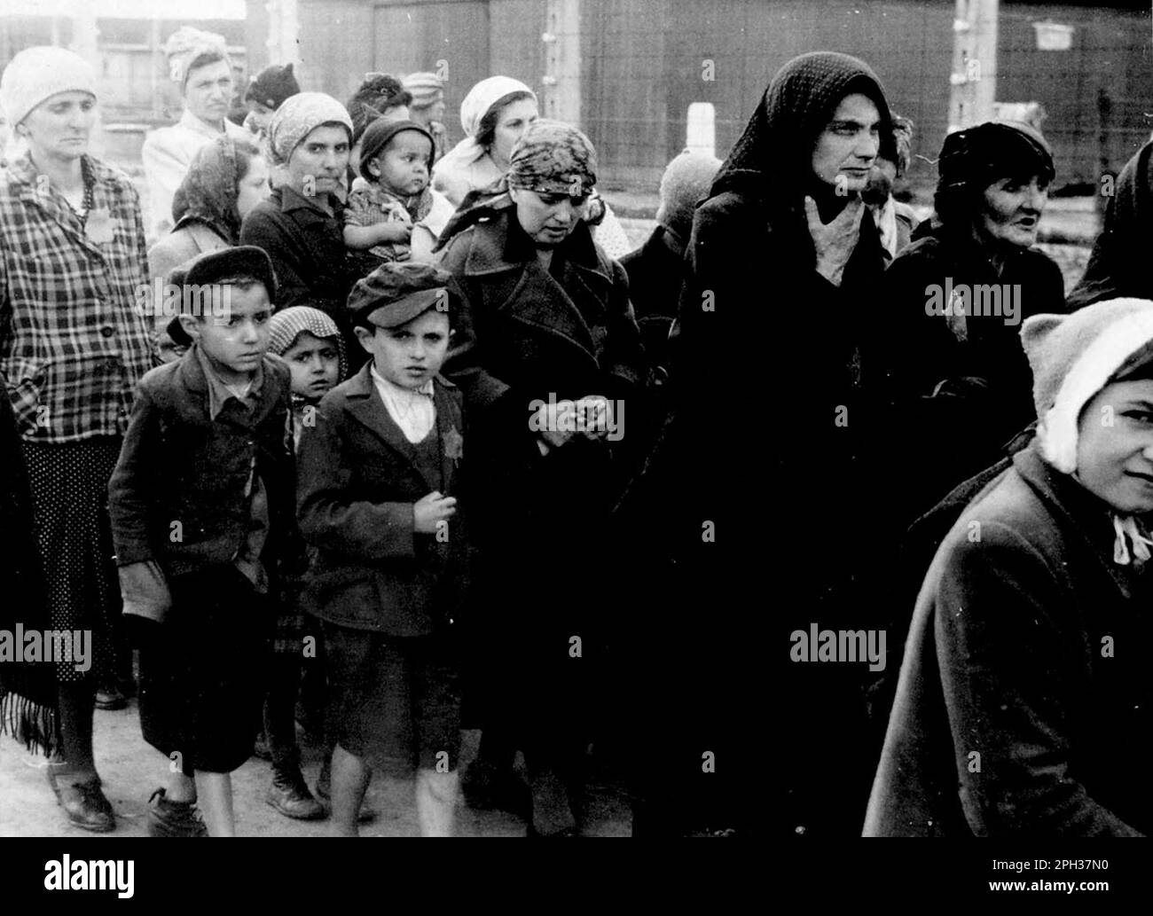 Jüdische Frauen und Kinder aus dem Subkarpaten Rus, die in Auschwitz-Birkenau für den Tod ausgewählt wurden, gehen in Richtung der Gaskammern. Stockfoto