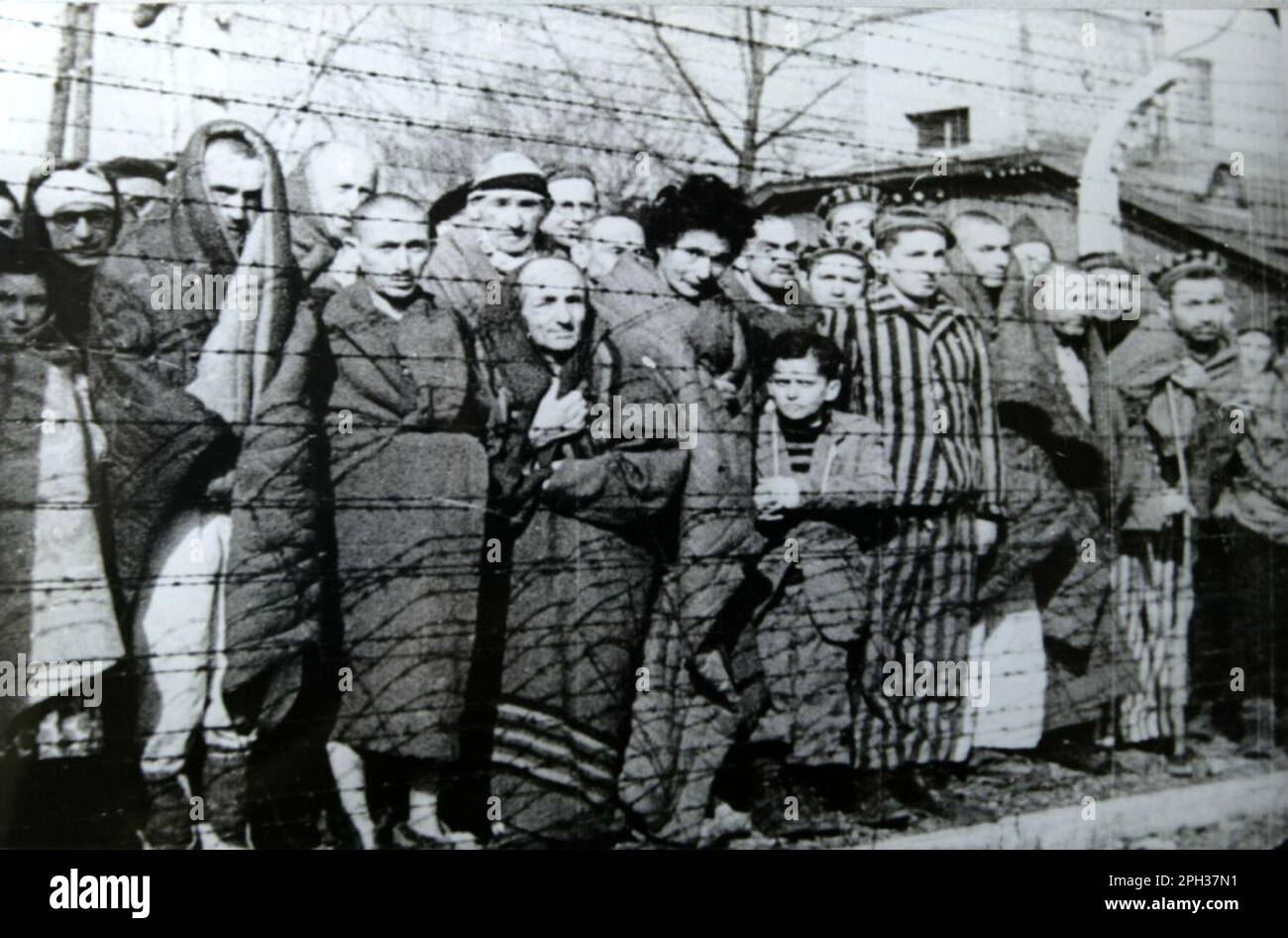 Gefangene im deutschen Konzentrationslager Auschwitz in Polen, während der Befreiung durch die sowjetische Rote Armee, Januar 1945 Stockfoto