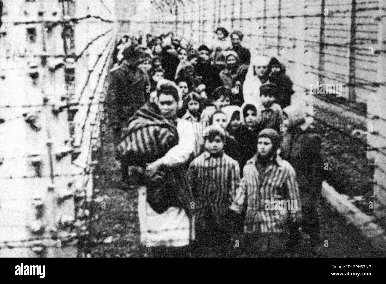 Die Zwillingsschwestern Eva und Miriam Mozes werden von der Sowjetarmee aus dem Konzentrationslager Auschwitz entlassen. Stockfoto
