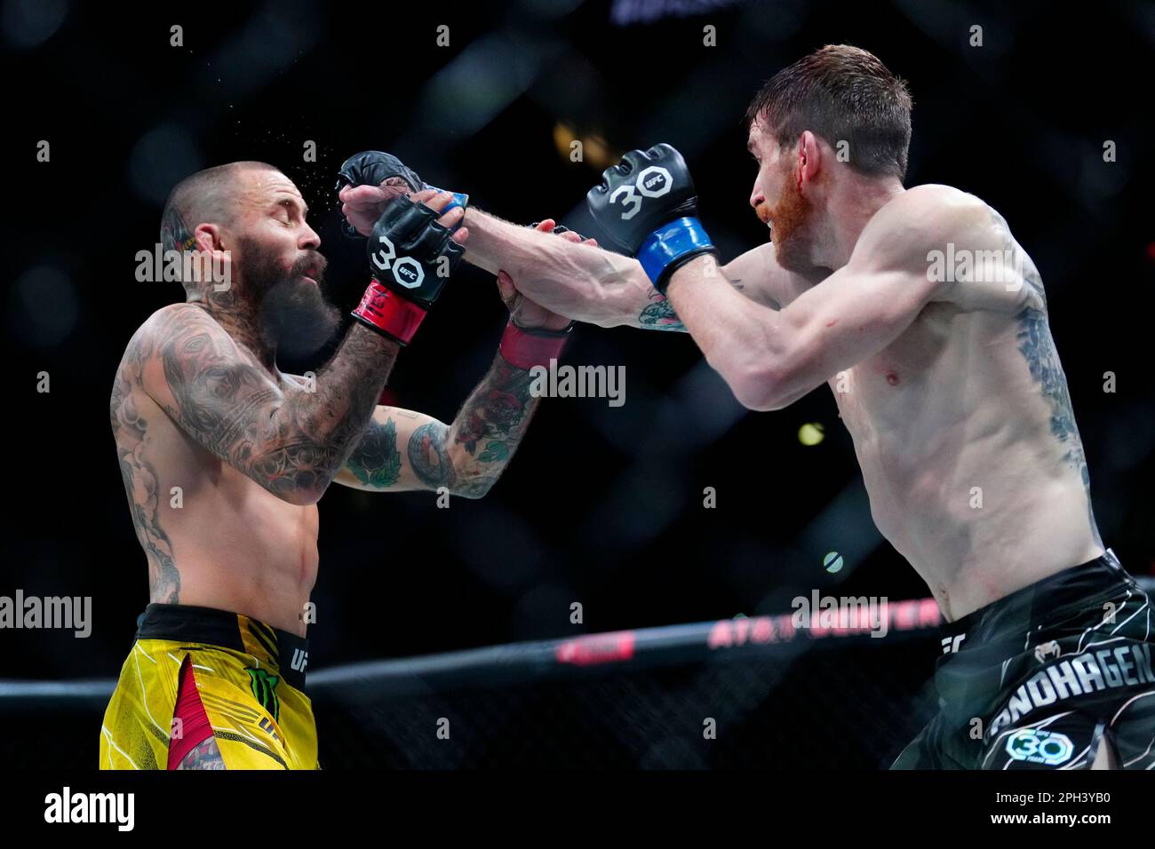 SAN ANTONIO, TEXAS – 25. MÄRZ: (R-L) Cory Sandhagen schlägt Marlon Vera in ihrem Bantamweight-Kampf während der UFC Fight Night im AT&T Center am 25. März 2023 in San Antonio, Texas, USA. (Foto: Louis Grasse/PxImages) Stockfoto