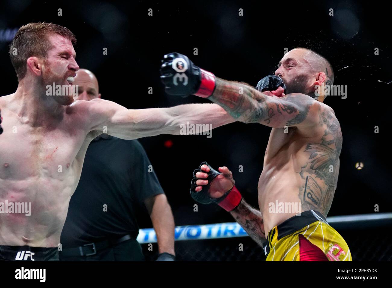 SAN ANTONIO, TEXAS – 25. MÄRZ: (R-L) Cory Sandhagen schlägt Marlon Vera in ihrem Bantamweight-Kampf während der UFC Fight Night im AT&T Center am 25. März 2023 in San Antonio, Texas, USA. (Foto: Louis Grasse/PxImages) Stockfoto