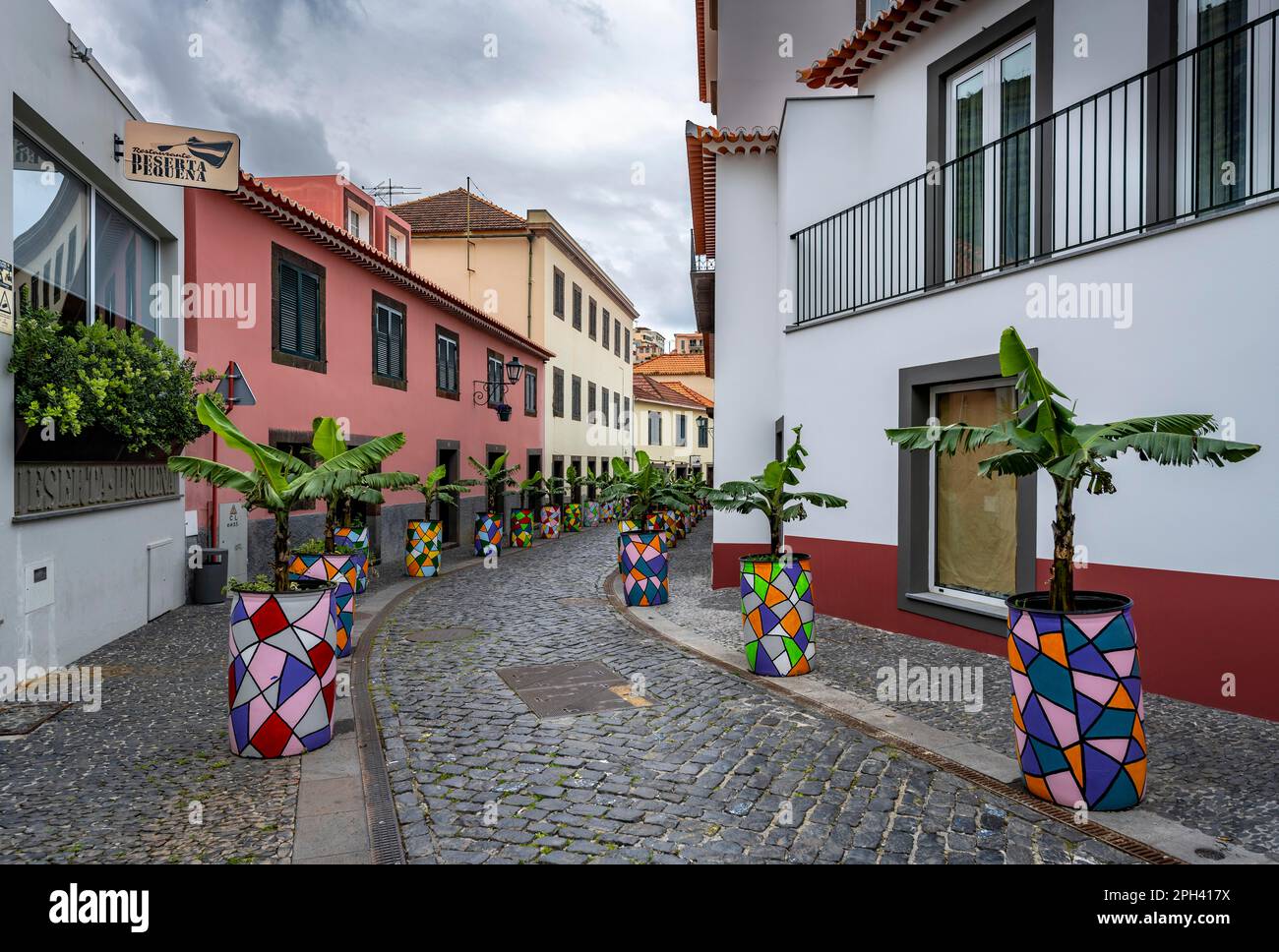 Straße mit bunten Blumentöpfen, Altstadt, Stadt Camara de Lobos, Madeira, Portugal Stockfoto