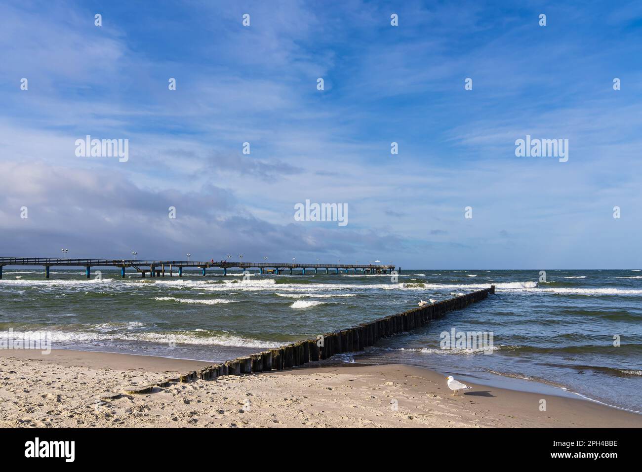 Groynes und Pier am Ufer der Ostsee in Graal Mueritz, Deutschland. Stockfoto