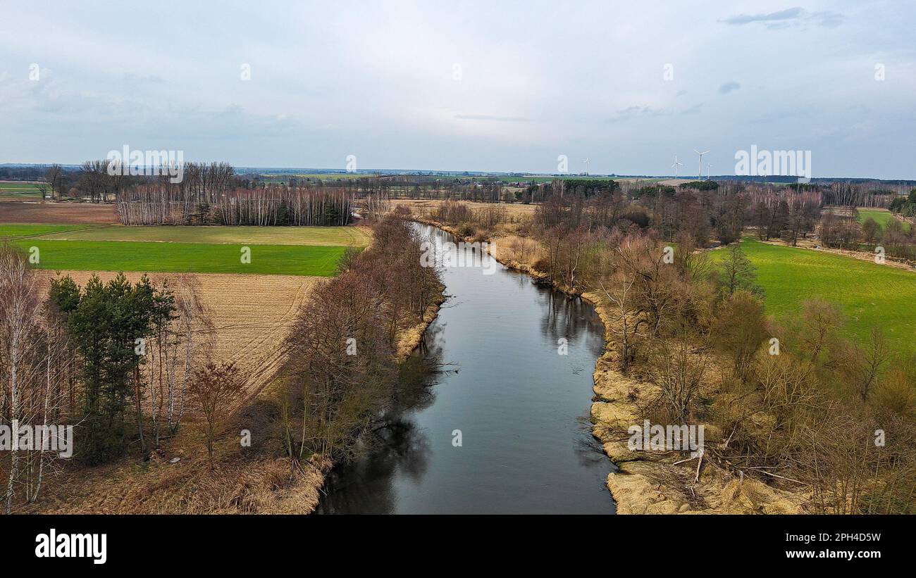 Widawka-Fluss im Frühling, Polen. Stockfoto