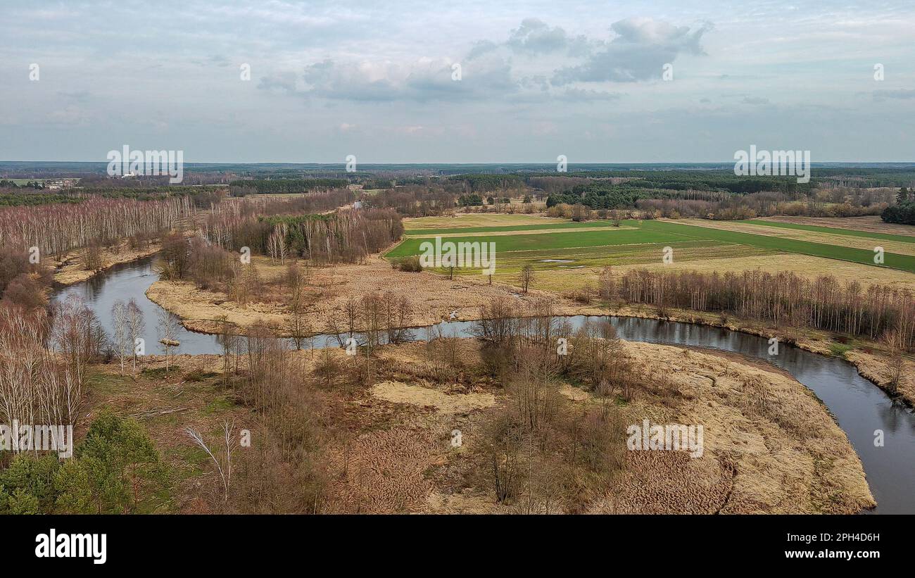 Widawka-Fluss im Frühling, Polen. Stockfoto