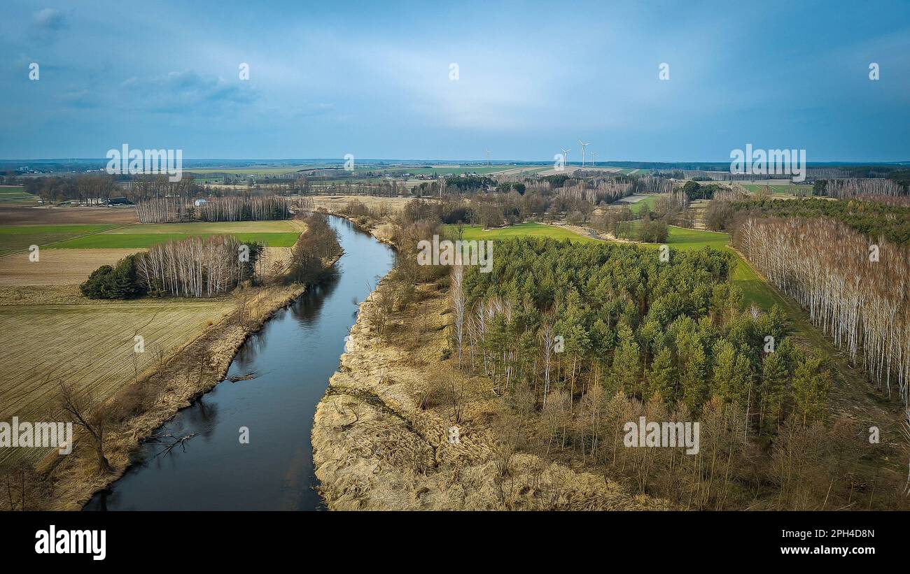 Widawka-Fluss im Frühling, Polen. Stockfoto