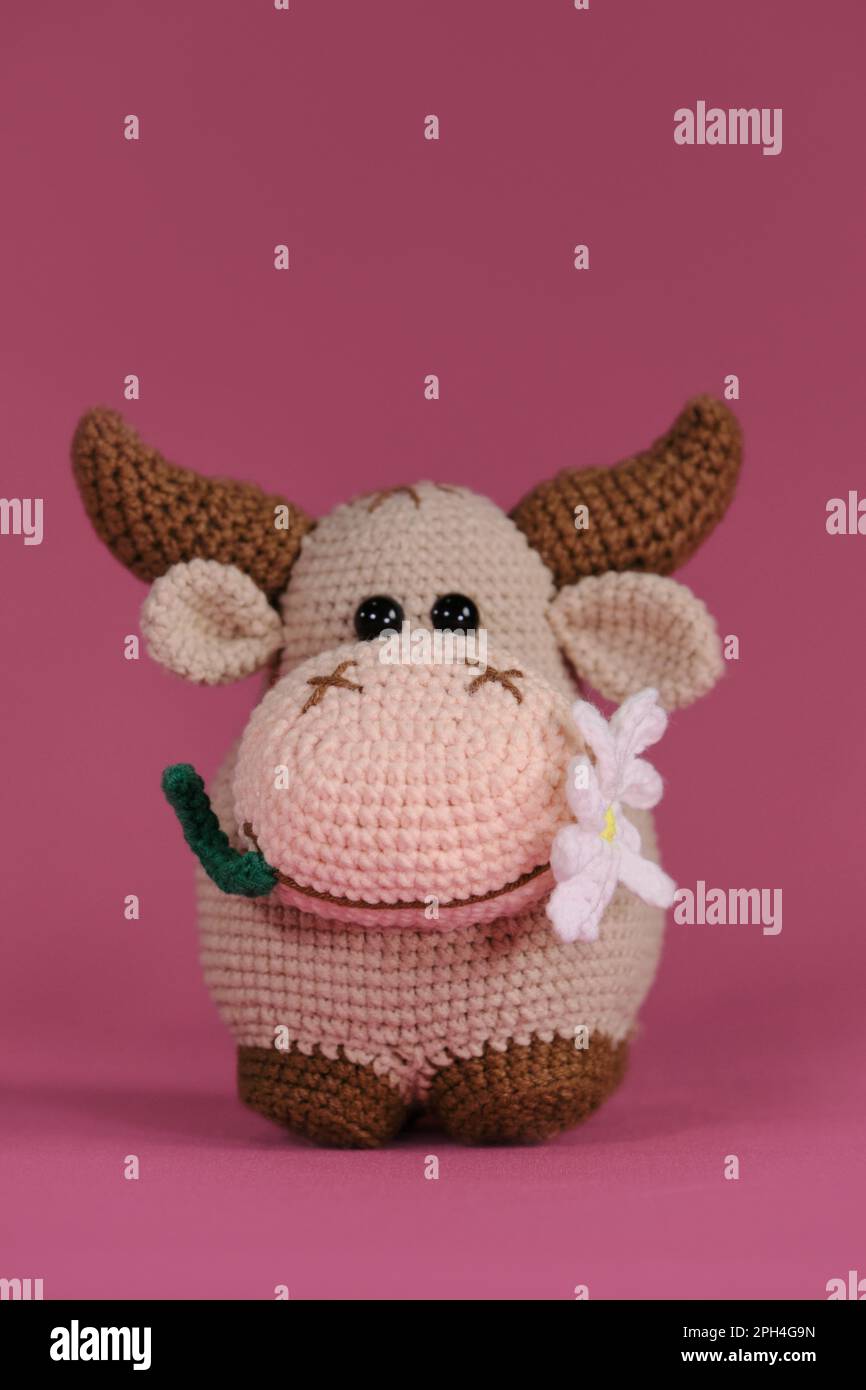 Amigurumi-Kuhpuppe auf pinkfarbenem Hintergrund. Ein weiches Heimwerkerspielzeug aus Baumwolle und Naturwolle. Ein brauner Stier mit einer Gänseblümchen im Mund, gehäkert, handgemacht Stockfoto