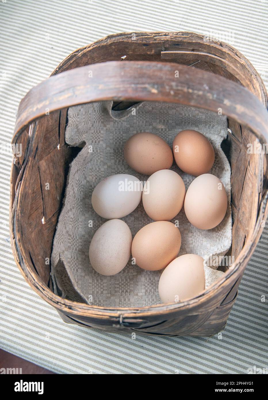 Legen Sie nicht alle Eier in einen Korb. Beliebte Sprichwörter und Sprichwörter Stockfoto