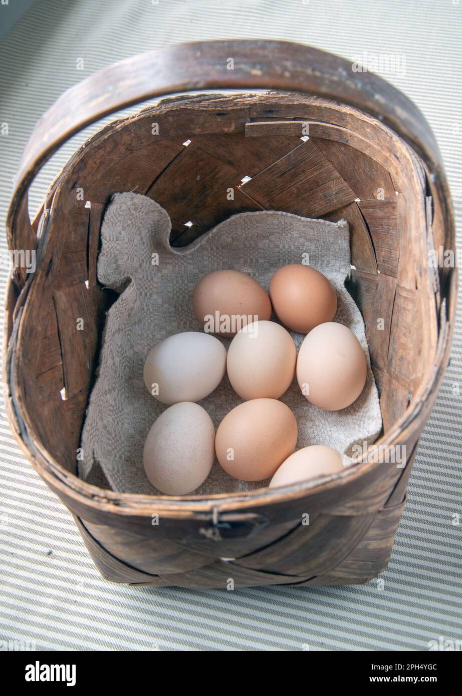 Legen Sie nicht alle Eier in einen Korb. Beliebte Sprichwörter und Sprichwörter Stockfoto