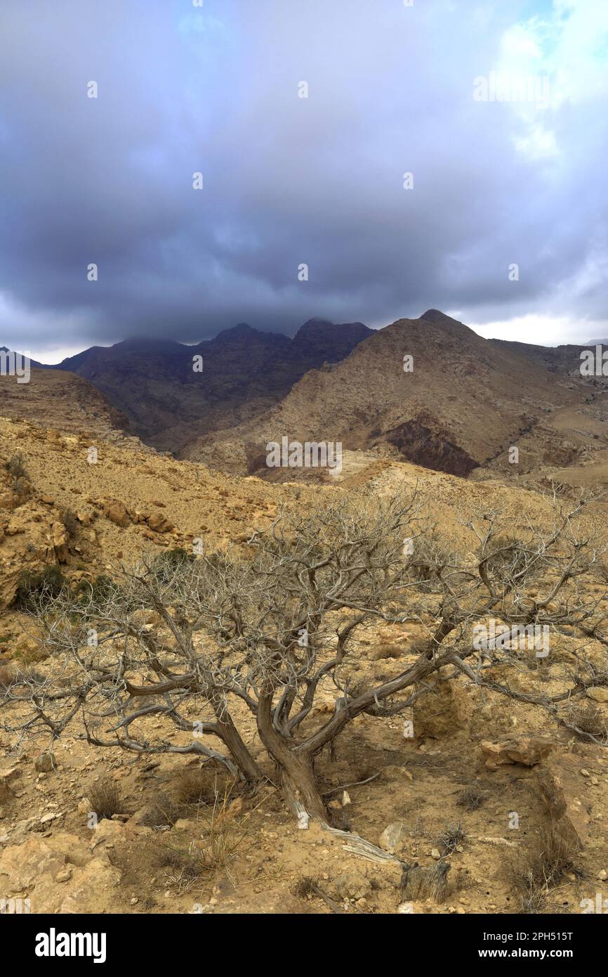 Blick über die Landschaft der Berge von Jabal Abu Mahmoud, Südjordanien, Naher Osten Stockfoto