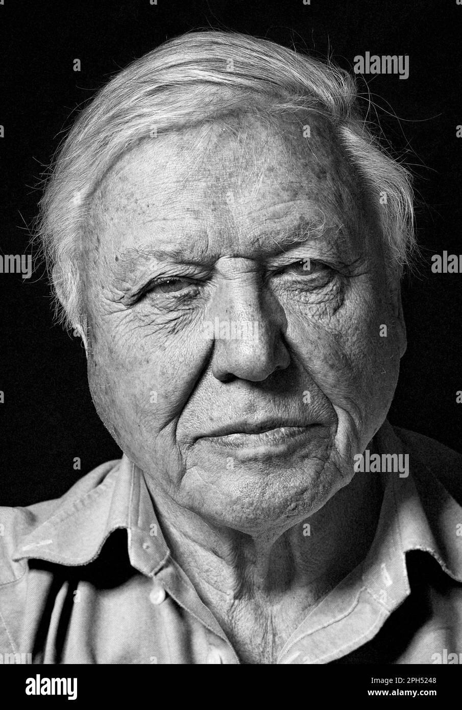David Attenborough Porträt, Schwarz und Weiß Stockfoto