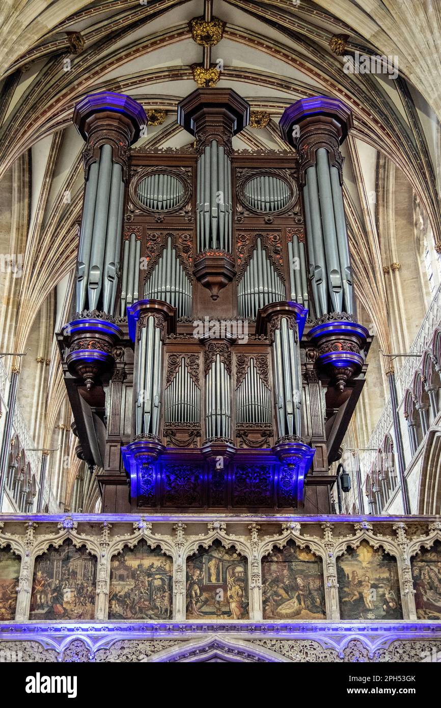 Orgel der Kathedrale von Exeter Stockfoto