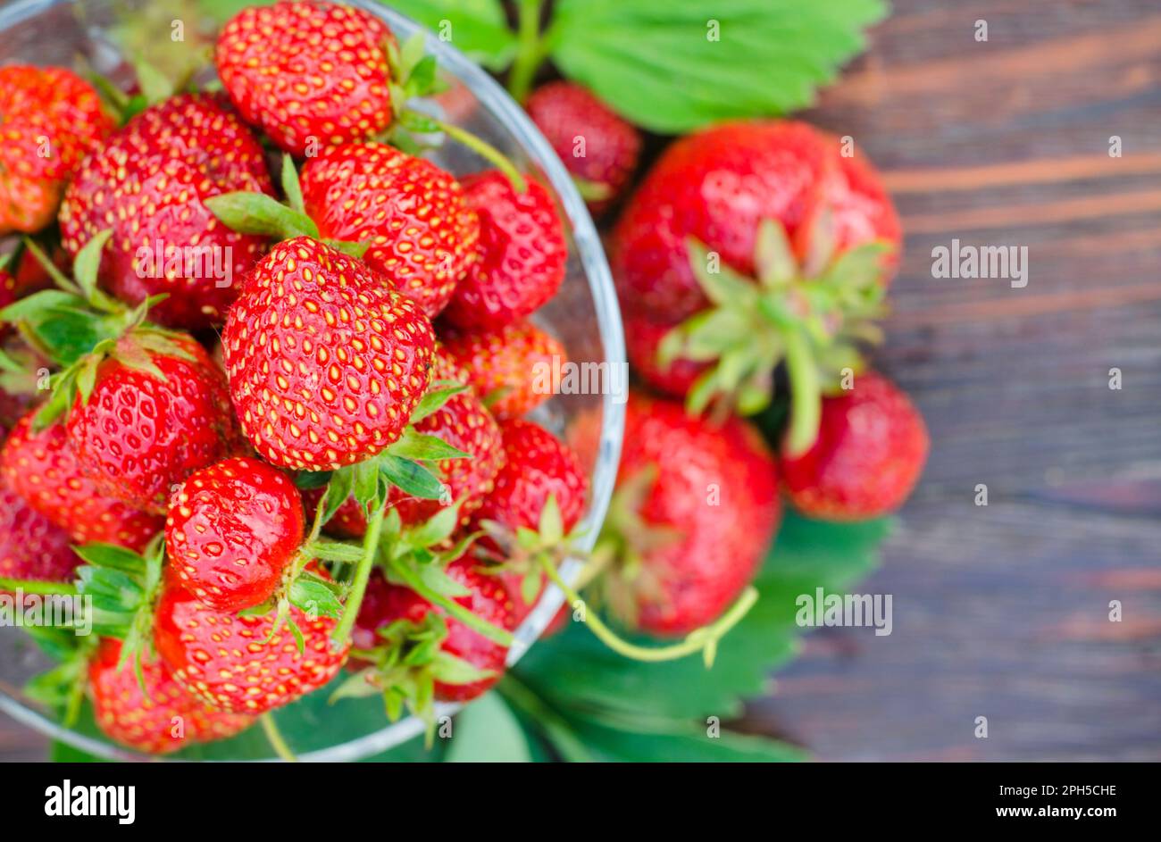 Reife Erdbeeren in einer Glasvase. Bio-Beeren auf einem Holztisch Stockfoto