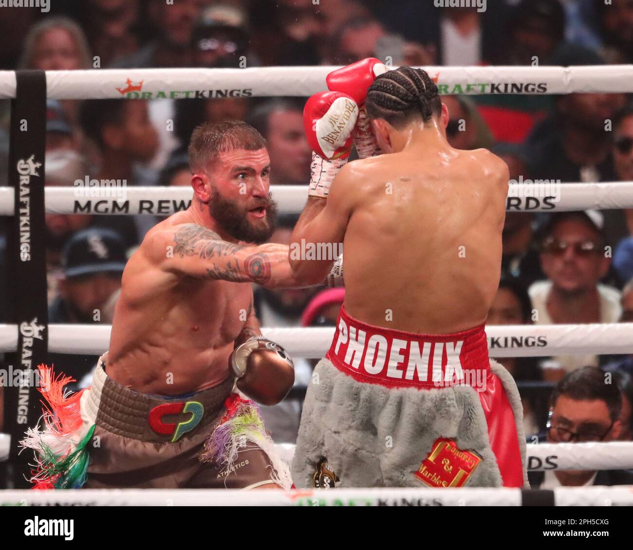 LAS VEGAS, NV - 25. MÄRZ: (L-R) Caleb Plant schlägt David Benavidez in seinem Interim WBC World Super Middleweight Titelkampf in der MGM Grand Garden Arena am 25. März 2023 in Las Vegas, NV, USA. (Foto: Alejandro Salazar/PxImages) Stockfoto