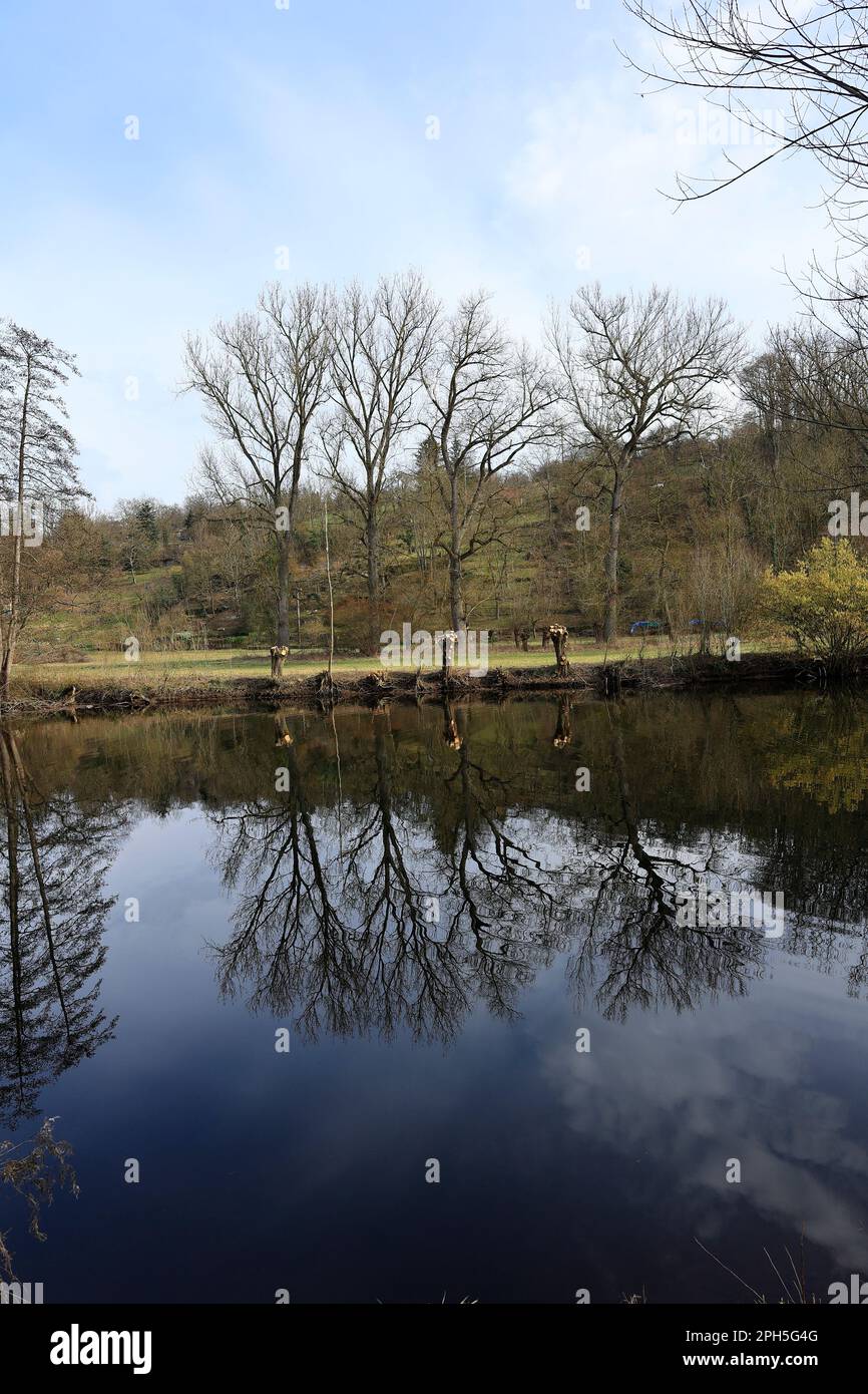 Bäume spiegeln sich im Fluss Enz bei Untermberg wider Stockfoto