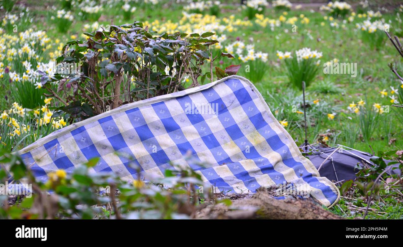 Manchester, Großbritannien, 26. März 2023. Eine Matratze und ein Regenschirm in einem Park im Ardwick District, Manchester, Großbritannien, mit Narzissen dahinter. Ministerpräsident Rishi Sunak wird am 27. März bekannt geben, dass Menschen, die wegen unsozialem Verhalten verurteilt werden, wie z. B. fliegendem Müll, dazu gebracht werden, den von ihnen verursachten Schaden zu reparieren. Kredit: Terry Waller/Alamy Live News Stockfoto