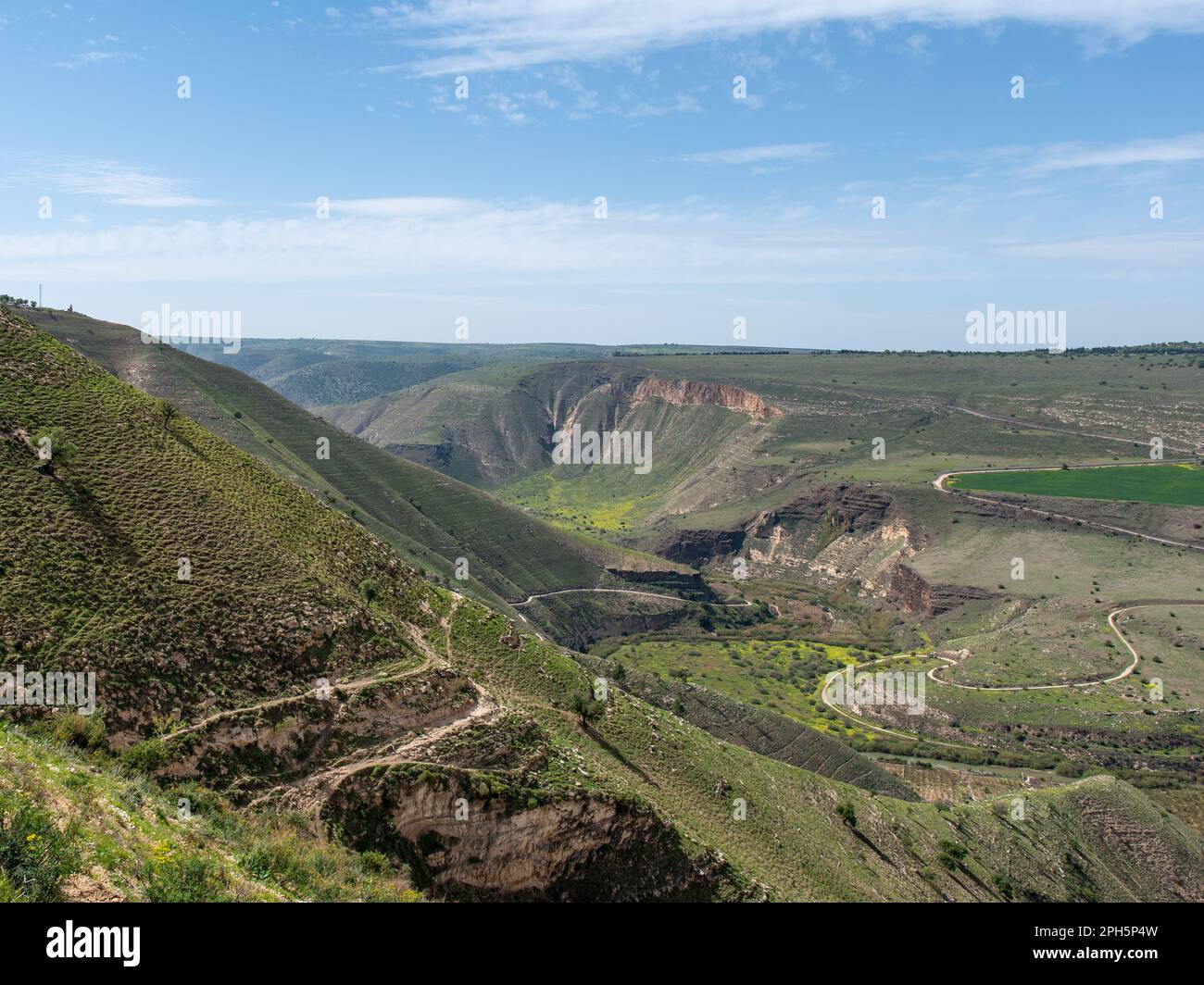 Berge und Täler mit Bäumen und grüner Abdeckung Stockfoto