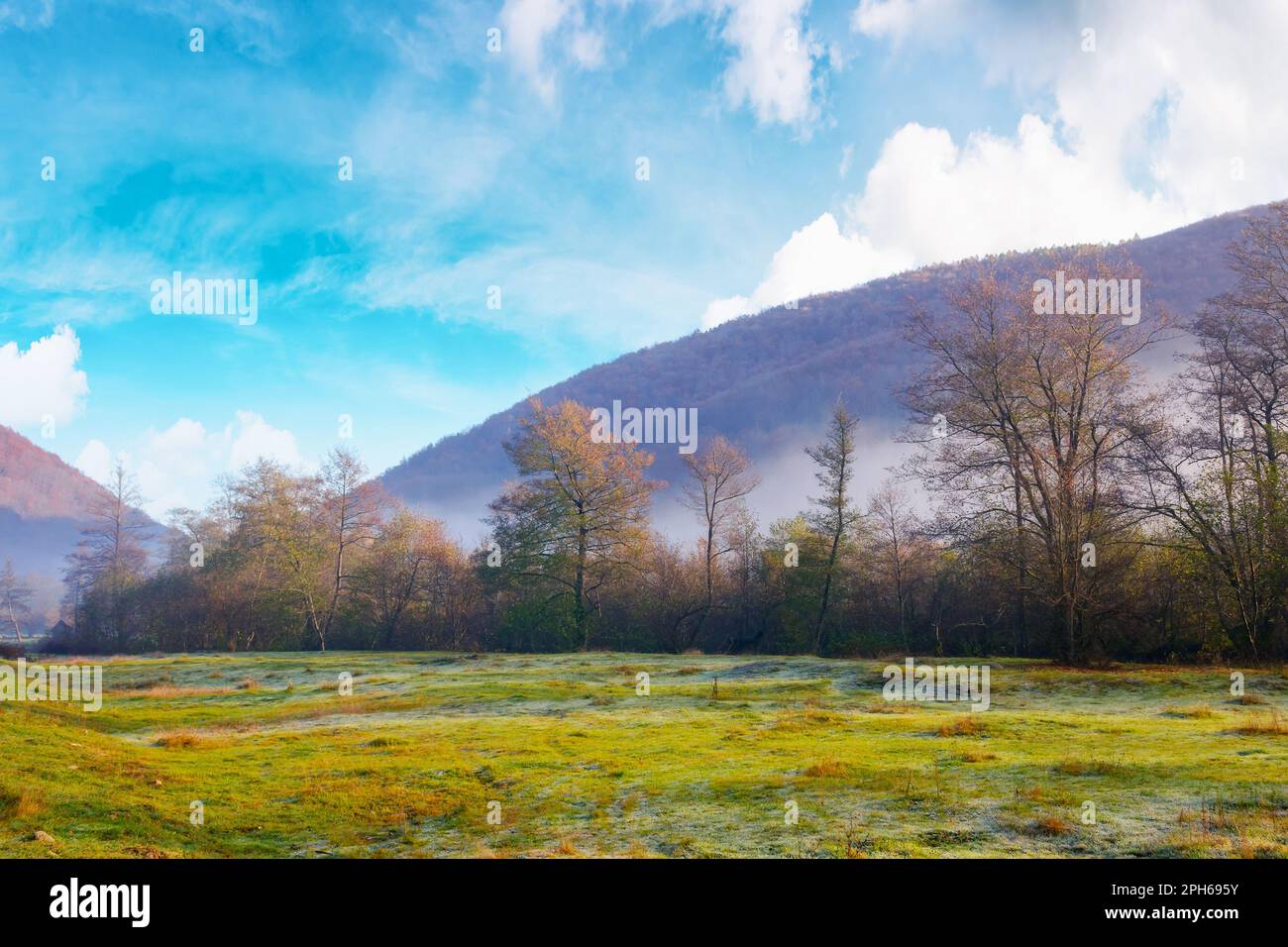 karpaten-Landschaft an einem nebligen Herbstmorgen. Naturlandschaft mit Wiese und Wald bei Sonnenaufgang. Wunderbare Außenlandschaft im Morgenlicht Stockfoto