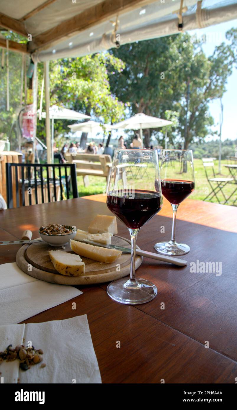 Genießen Sie Rotwein und Käse auf dem Weingut Agur in den Hügeln von Judea Israel Stockfoto