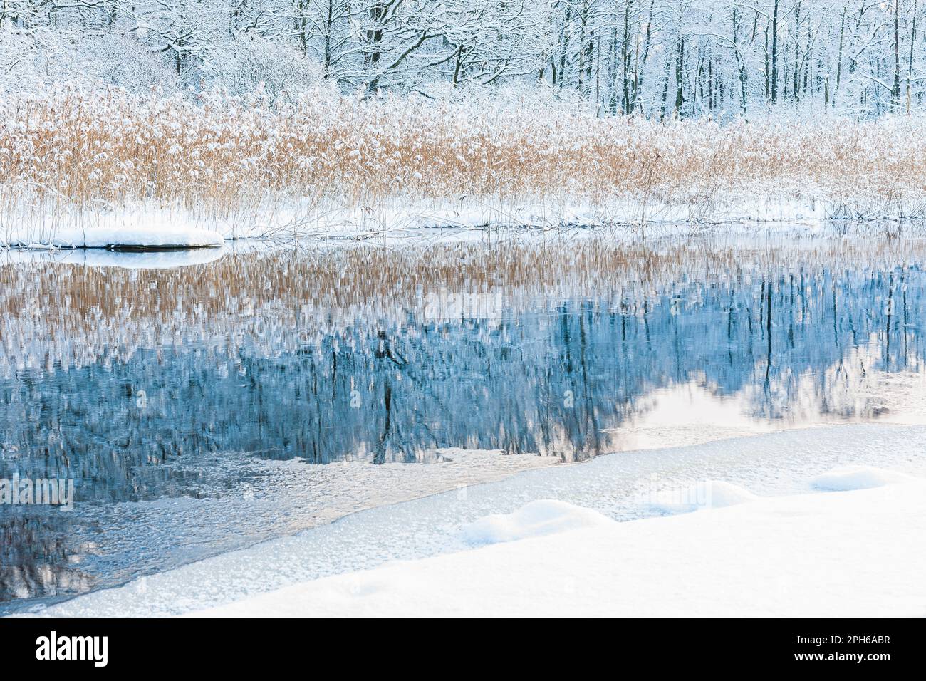 Eine ruhige Winterszene eines schneebedeckten Flusses, der das frostige Schilf in ruhiger Stille widerspiegelt. Stockfoto