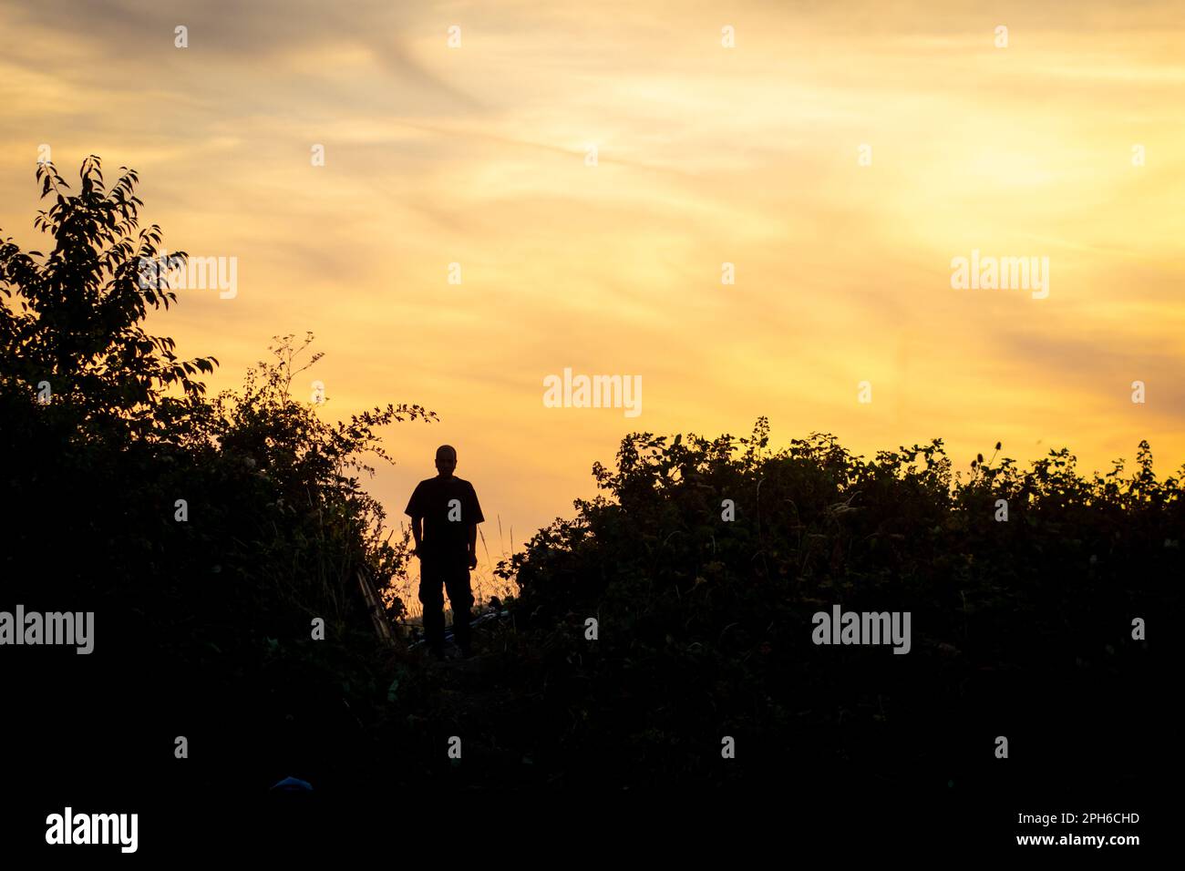 London, Vereinigtes Königreich, 16. Juli 2022: Mann Standing in Wildness, das bald 10,000 neue Wohnungen ersetzen wird Stockfoto