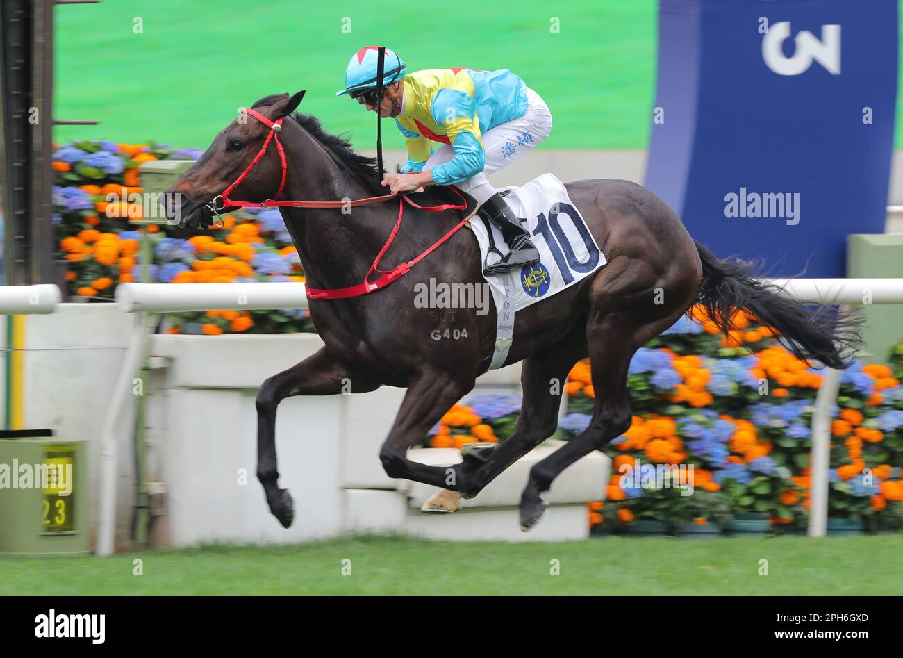 46+ Rasen Rennen Englisch, To rush, to race, to go crazy, lawn,