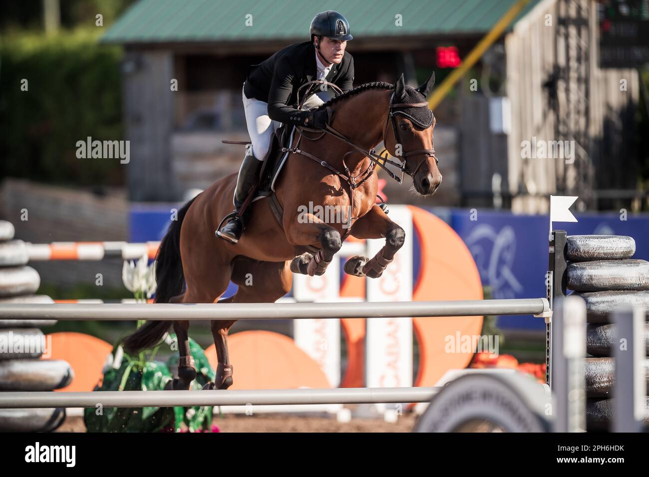 Ein professioneller Fahrer nimmt an der 2022 Major League Show Jumping Tour Teil. Stockfoto