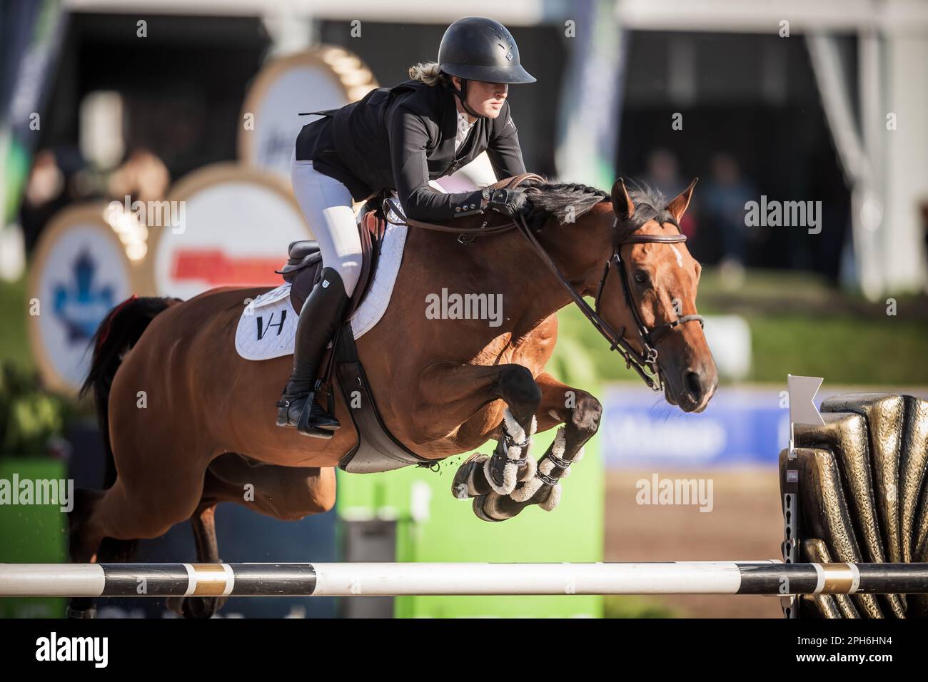 Ein professioneller Fahrer nimmt an der 2022 Major League Show Jumping Tour Teil. Stockfoto