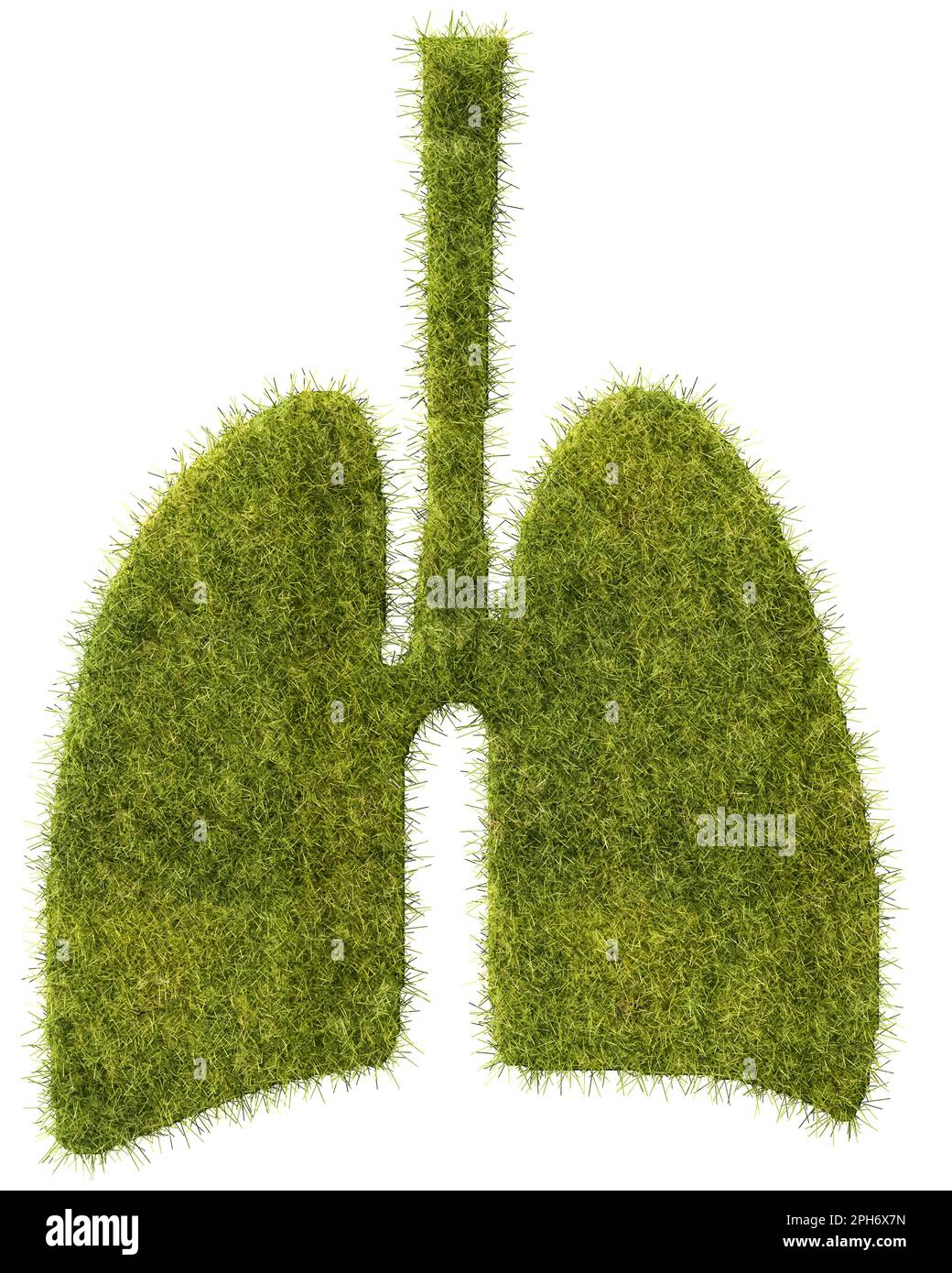 Green-lung-Konzept. Ein Grasfeld in Form einer menschlichen Lunge. Isoliert auf weißem Hintergrund Stockfoto