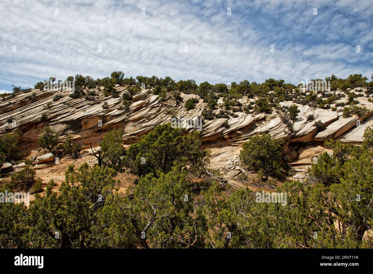 Felsformationen im Dinosaur Trackway, Red Fleet State Park, Utah, USA Stockfoto