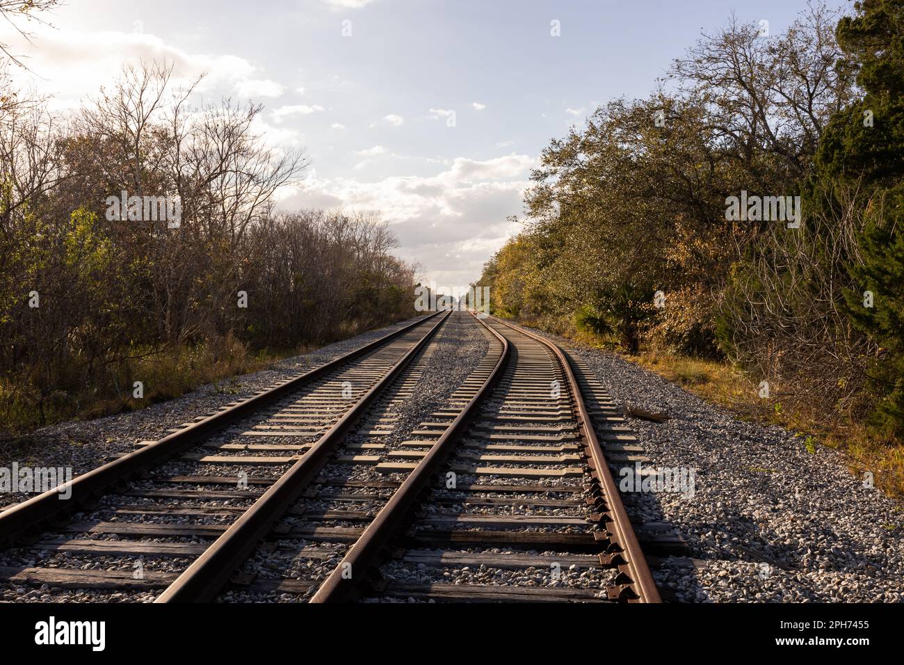 Bahngleise, die in den Wäldern von Canaveral Orlando, Florida, vorbeifahren Stockfoto