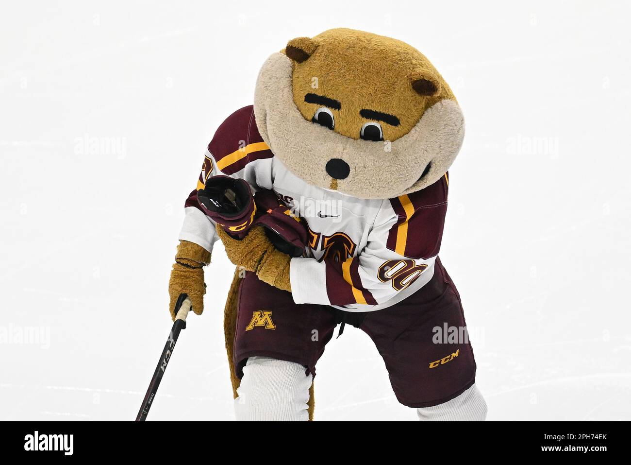 Goldie, das Maskottchen der Minnesota Gophers, läuft zwischen den Perioden des Meisterschaftsspiels des West Regional NCAA Männer Eishockeyturniers zwischen den St. Cloud State Huskies und die University of Minnesota Golden Gophers in der Scheels Arena in Fargo, ND, am Samstag, den 25. März 2023. Nummer Eins insgesamt hat Minnesota 4-1 gewonnen und geht in die Frozen Four. Von Russell Hons/CSM Stockfoto