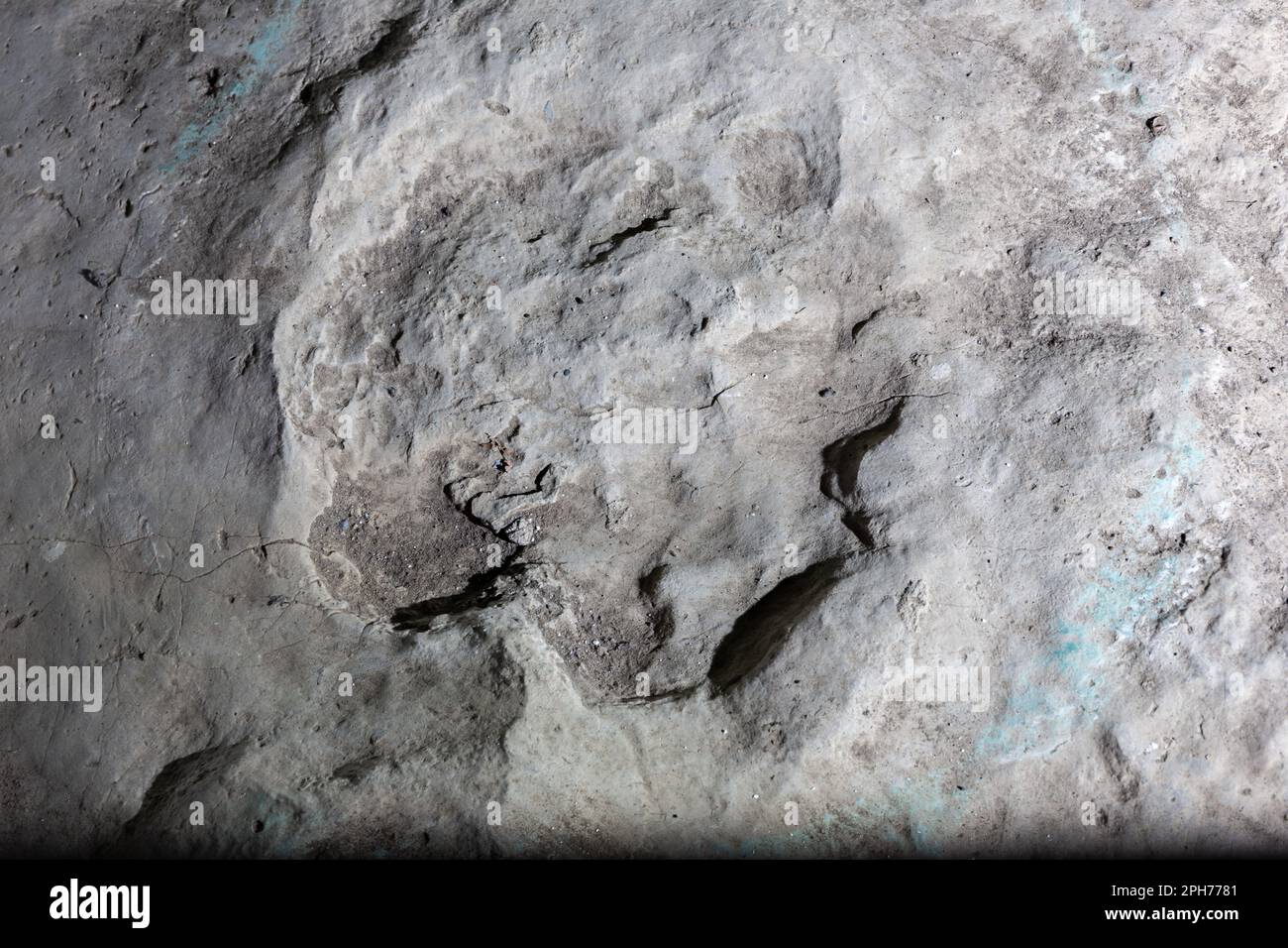Gut erhaltene versteinerte Pflanzenfresser-Dinosaurier-Fußabdrücke auf einem Felsen im Sataplia Strong Nature Reserve, Georgia. Stockfoto