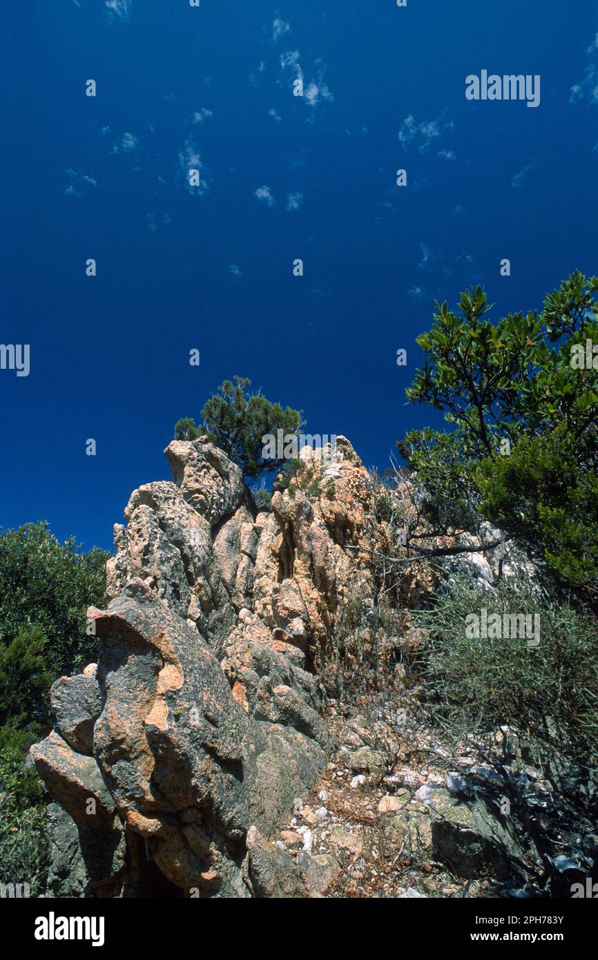 Granitmassiv, Wolken und phönizische Wacholder. Arzachena. (Gallura). Olbia, Sardinien. Italien Stockfoto
