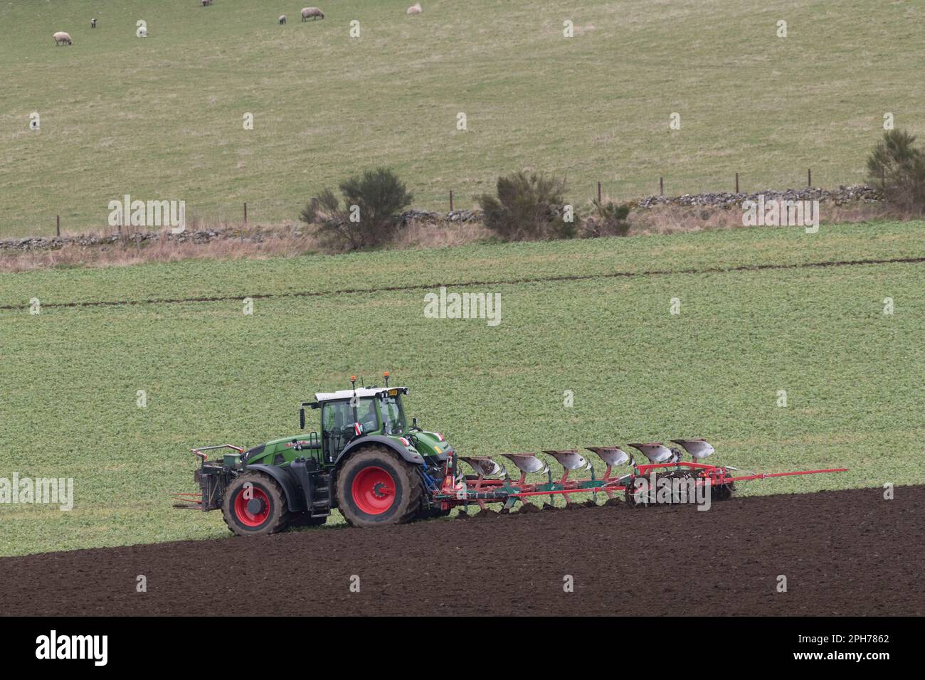 Ein Fendt-Traktor und ein Wendepflug, der einen Kverneland-Doppelverpacker schleppt, während er im Frühjahr auf einem Bauernhof in Aberdeenshire in Gründung (Vetch) pflügt Stockfoto