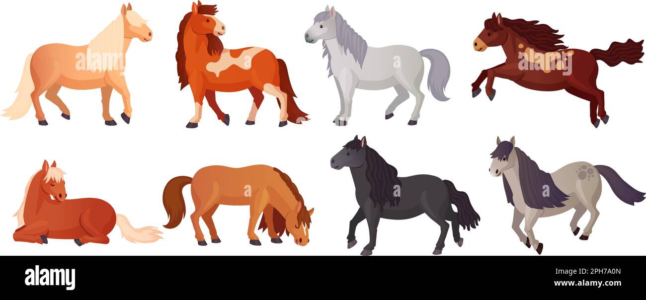Ponys vermehren sich. Cartoon niedliches Pony shetland Breed, Farm wunderschöne kleine Pferde mit Kinderschwänzen, Kinderpferd liegendes poni Tier, isolierte geniale Vektordarstellung von Pferdezucht und shetland Stock Vektor