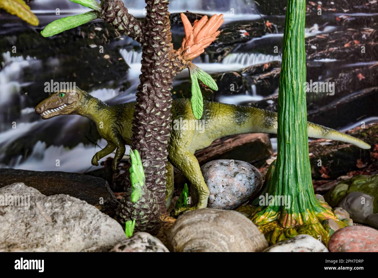 Basale theropoden Fotos und Bildmaterial in hoher Auflösung Alamy